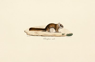  de Jacques Christophe Werner