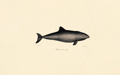  de Jacques Christophe Werner
