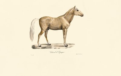  de Jacques Christophe Werner