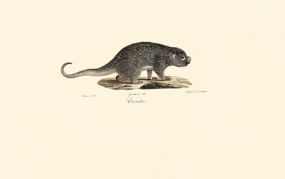  de Jacques Christophe Werner
