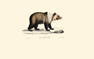  de Jacques Christophe Werner