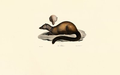  de Jacques Christophe Werner