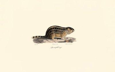  de Jacques Christophe Werner