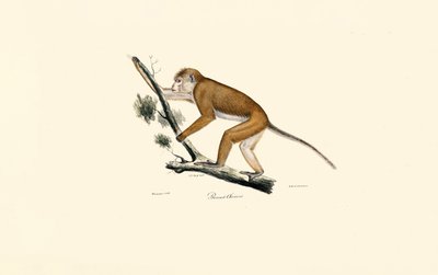  de Jacques Christophe Werner
