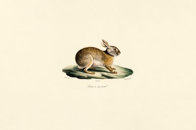  de Jacques Christophe Werner