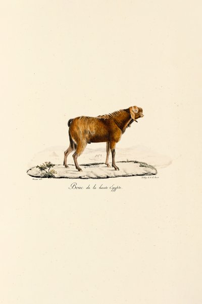  de Jacques Christophe Werner