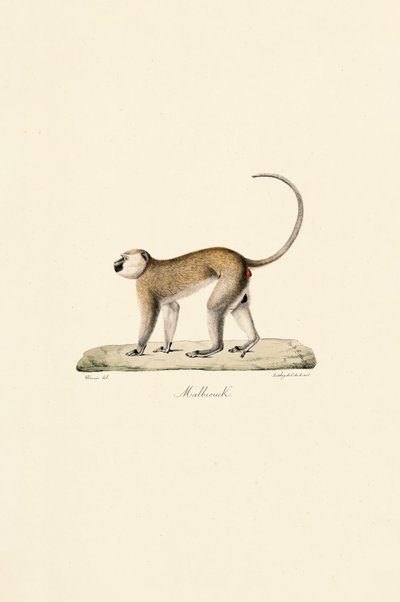  de Jacques Christophe Werner