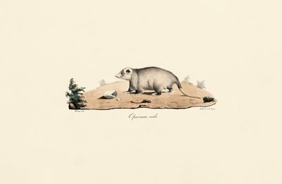  de Jacques Christophe Werner