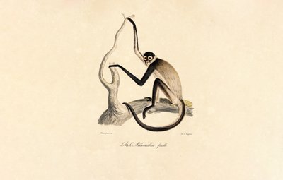  de Jacques Christophe Werner