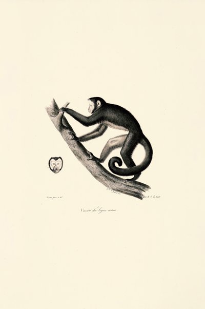  de Jacques Christophe Werner