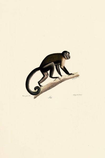 de Jacques Christophe Werner
