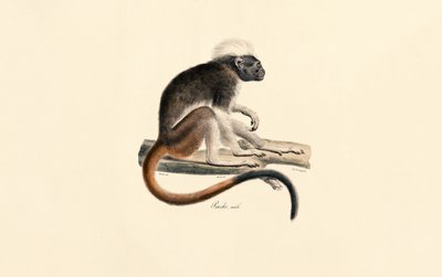  de Jacques Christophe Werner