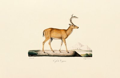  de Jacques Christophe Werner