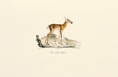  de Jacques Christophe Werner