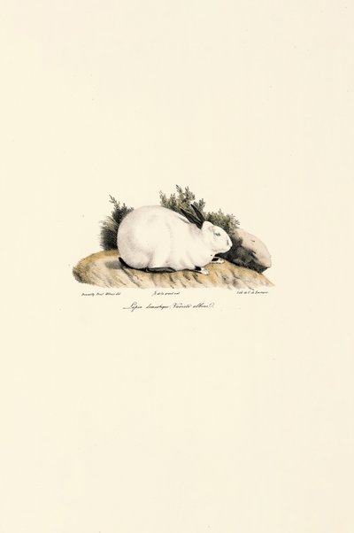  de Jacques Christophe Werner