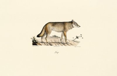  de Jacques Christophe Werner