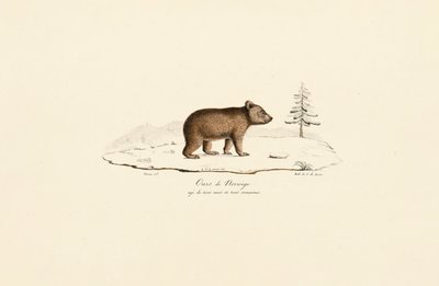  de Jacques Christophe Werner