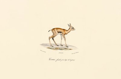  de Jacques Christophe Werner