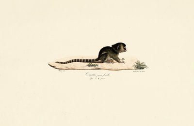  de Jacques Christophe Werner