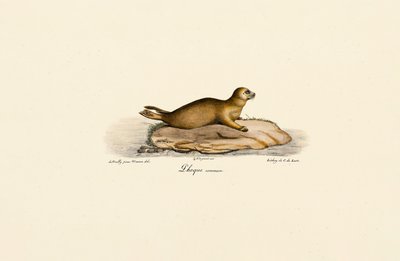  de Jacques Christophe Werner
