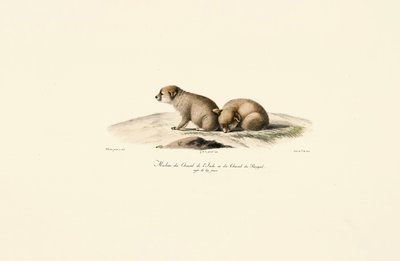  de Jacques Christophe Werner