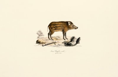  de Jacques Christophe Werner