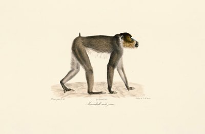  de Jacques Christophe Werner