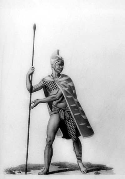 Joven oficial con un traje típico de malo, Hawái, 1819 de Jacques Etienne Victor Arago