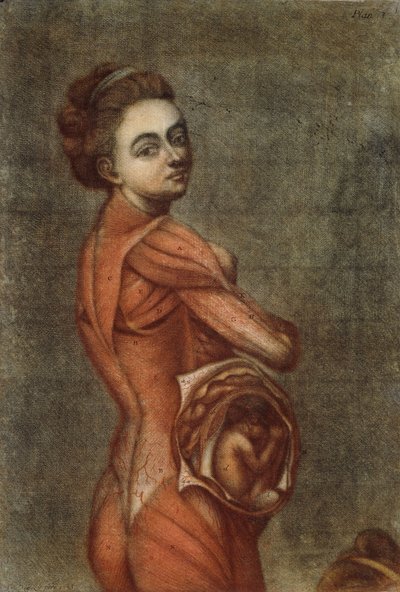 Ilustración anatómica en color de una mujer embarazada de Jacques Fabien Gautier dAgoty