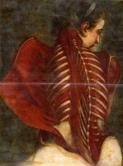 El ángel desollado, c.1745 de Jacques Fabien Gautier dAgoty