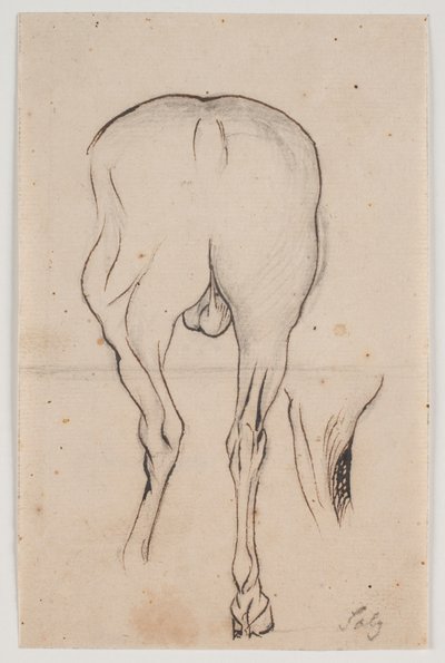 Caballo visto desde atrás y una pata de caballo de Jacques Francois Joseph Saly