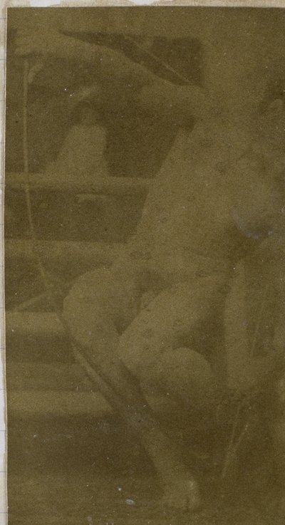 Estudio de un modelo desnudo masculino sentado en un escalón, visto de frente con una cuerda y un lazo en el regazo, en el estudio de Jacques de Lalaing de Jacques Lalaing (attributed to)