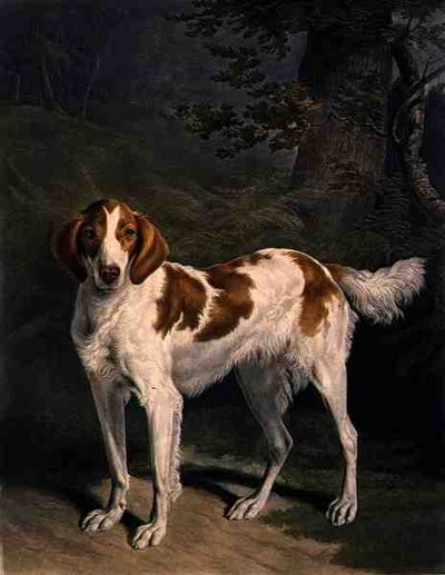 Dash, grabado por Charles Turner (1773-1857), pub. por R. Ackermann Jnr. de Jacques Laurent (after) Agasse