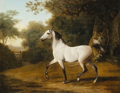 Un semental árabe gris en un paisaje boscoso de Jacques Laurent Agasse