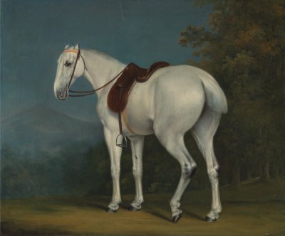 El cazador gris de una dama de Jacques Laurent Agasse