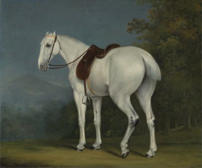El cazador gris de una dama de Jacques Laurent Agasse