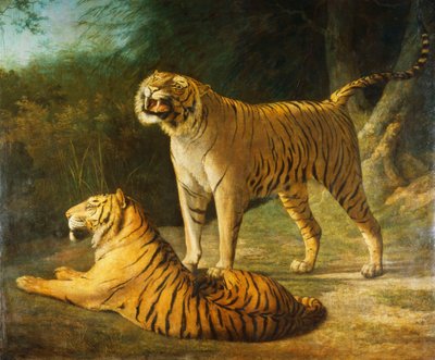 Un tigre y una tigresa en la Menagerie de Exeter "Change en 1808, 1808 de Jacques Laurent Agasse