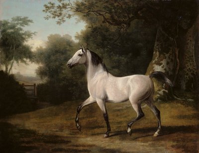 Un semental árabe gris en un paisaje boscoso de Jacques Laurent Agasse