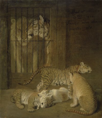 Grupo de cachorros criados entre un león y una tigresa de Jacques Laurent Agasse