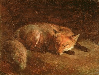 Zorro durmiendo de Jacques Laurent Agasse