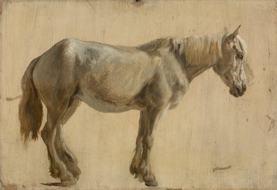 Estudio de un Caballo Gris de Jacques Laurent Agasse