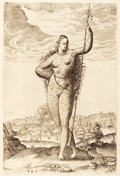 Una joven picta, c1585 de Jacques Le Moyne