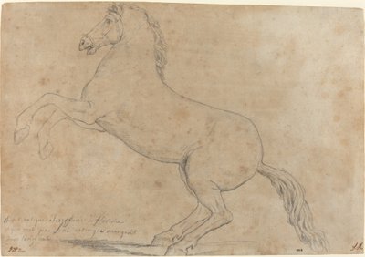 Una escultura antigua de un caballo de Jacques Louis David