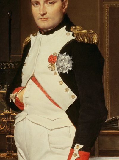 Detalle de El emperador Napoleón en su estudio de las Tullerías de Jacques Louis David