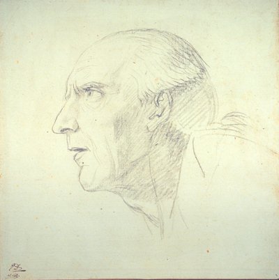 Cabeza de un anciano de perfil de Jacques Louis David
