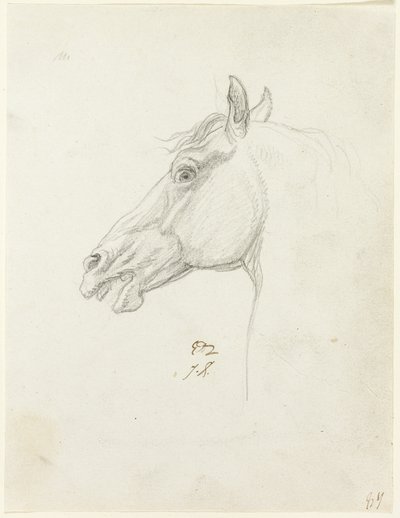 Cabeza de Caballo de Jacques Louis David