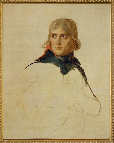 Napoleón Bonaparte ... de Jacques Louis David