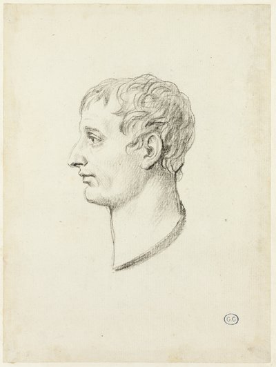 Perfil de Napoleón de Jacques Louis David