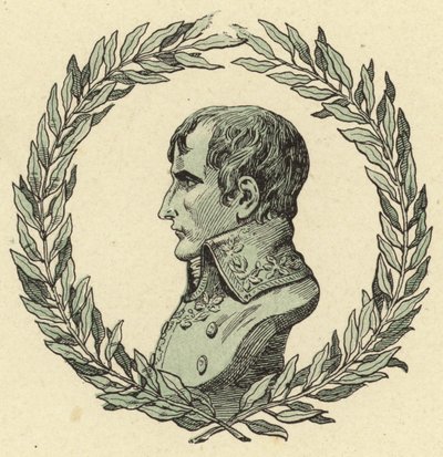 Busto de Napoleón Bonaparte de Jacques Marie Gaston Onfray de Breville (Job)