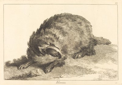 Blereau (Tejón) de Jacques Philippe Le Bas and Jean Eric Rehn after Jean Baptiste Oudry